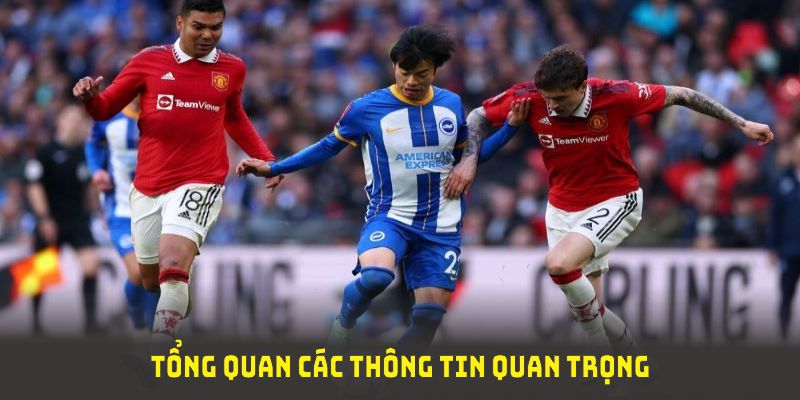 Tổng quan các thông tin quan trọng về thể thao J88